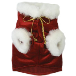 Fancy Christmas Jacket