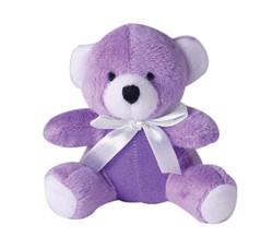 Baby Bear - Purple