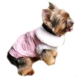 Corduroy & Teddy Jacket - Pink