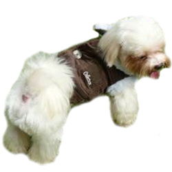 Corduroy & Teddy Jacket - Brown