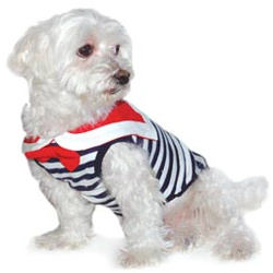 Sailor - Navy