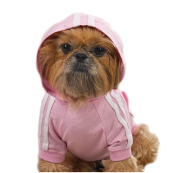 Bling Bone Hoodie - Baby Pink