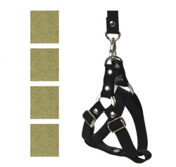 Suede Harness & Leash Set - Green