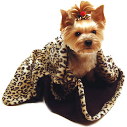 Luxury Fleece Blanket / Sleeping Bag - Black & Leo