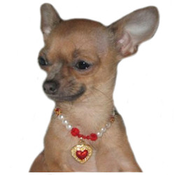 Necklace Heart & Pearls