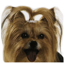 Barette - Rhinestone Double Rows
