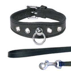 LEATHER COLLAR WITH RHINESTONES &amp; LEATHER LEASH ()
