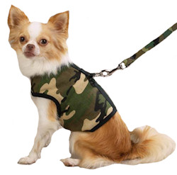 Camo Harness