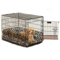 Cage Black with Leopard bedding