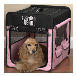 Cage with Polka Dots - Pink