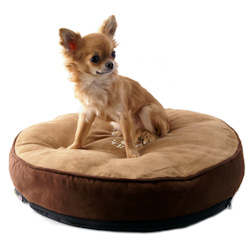 Scruff Dog Cusion - Beige & Brown