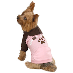 Camp Chew Hoodie - Pink