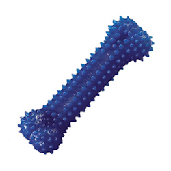 Nylabone - Denal Chew