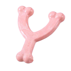 Nylabone - My Royal Princess - Wish Bone