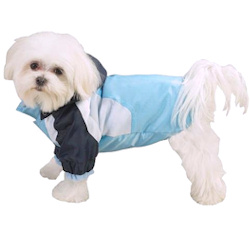 Hood Jacket - 3 in 1