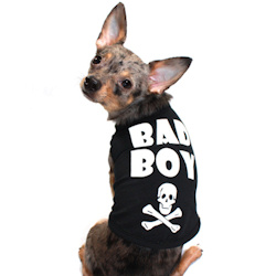 Bad Boy - Tank
