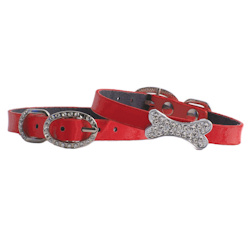 Leather collar with Bone Charm - Red