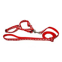 HEARTS HARNESS SET - RED ()