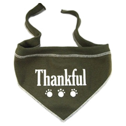 Thankful Bandana
