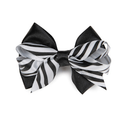 Zebra Bow