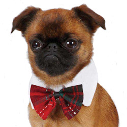 Bow Tie - Plaid