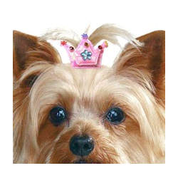 Crown Barettes - Pink & Yellow