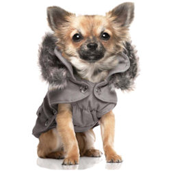 Parka Courcheval - Silver