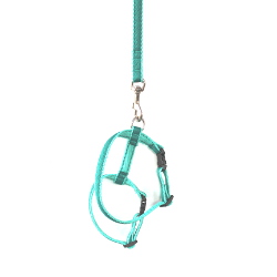 PUPPY HARNESS SET - TURQUOISE ()