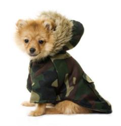 Camouflage Parka