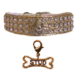 Glamorous collar - Gold<br />charm - STUD