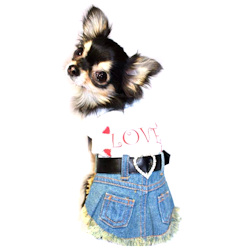 Love - Jeans Dress