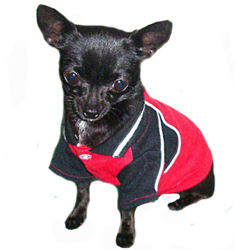 Bowling Polo - Black / Red