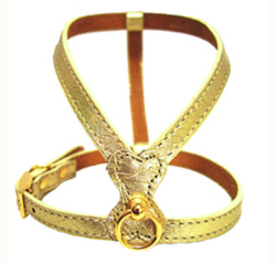 Glamorous Harness - GOLD