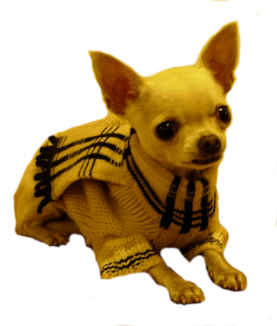 peggy.jpg