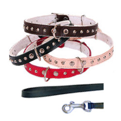 Leather Collar with Spikes & Leash set - Black