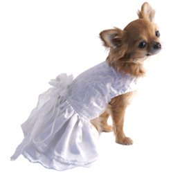 Wedding Dress with Lace Pearls & matching Leash