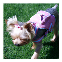 Harness Back Pack & matching leash - Pink