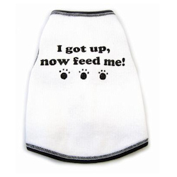 I got up, now feed me! - Dog tank