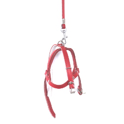 Leather Collar & Harness & Leash Set - Red
