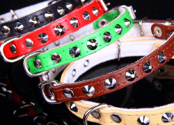 LEATHER COLLAR WITH STUDS - BEIGE ()