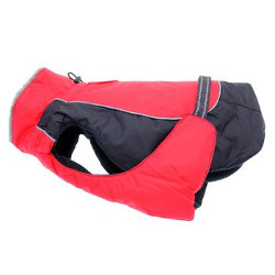 All Weather Dog Coat - Red/Black