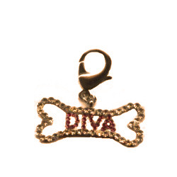 Gold Charm - DIVA